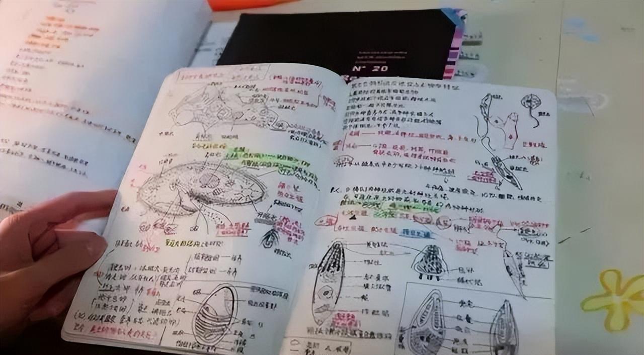 公牛换帅!斯普利特接过多诺万教鞭 带4号签重建